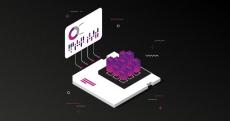 InsightSoftware