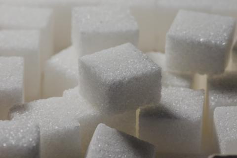 Optimizing Food & Beverage Processing Systems: The Role of Advanced Functional Ingredients in Modern Production