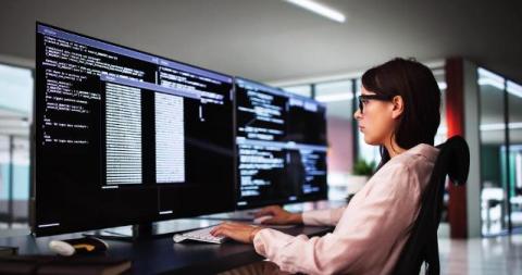 How Developers Organize Web Resources During Software Testing and Development