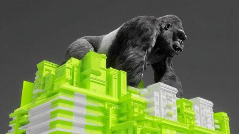 kong