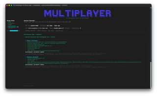 multiplayer