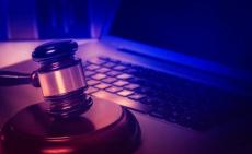 Navigational Perception in Legal Information Environments