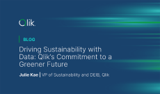 qlik