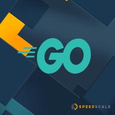 speedscale